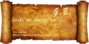 Gnámt Balázs névjegykártya